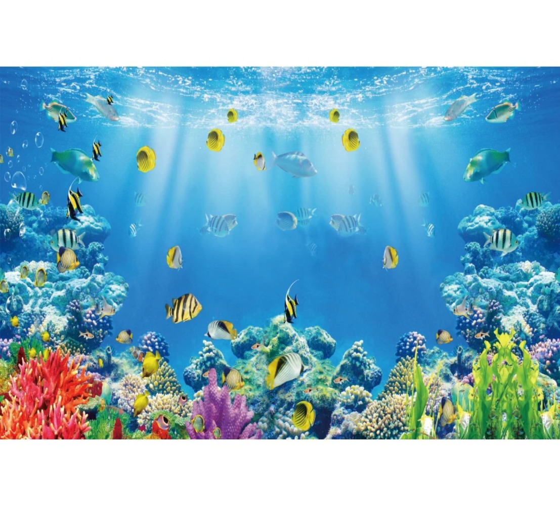 Underwater World Fish Coral Aq - Aquarium Fish Of The World ulasan dan harga
