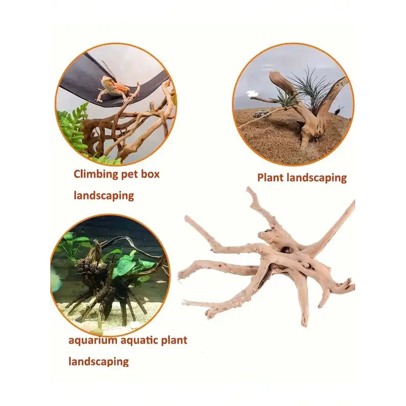 Natural Driftwood for Aquarium - Aquarium Fish Cichlid ulasan dan harga