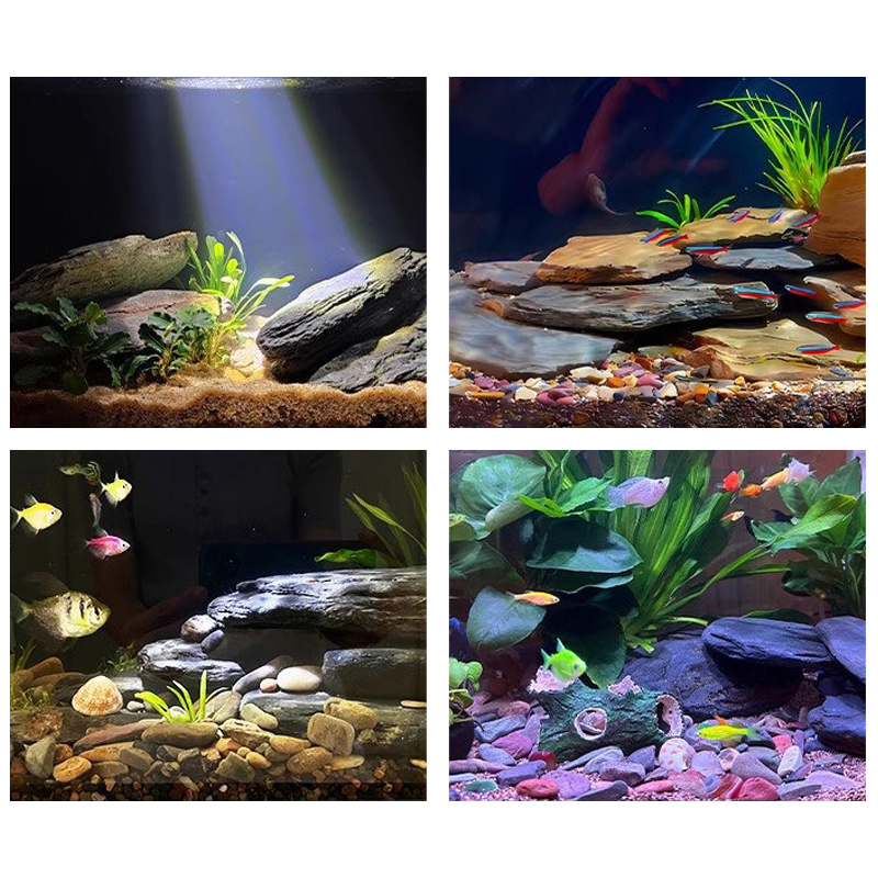 500/1000g Fish Tank Landscape  - Aquarium Fish Cichlid ulasan dan harga