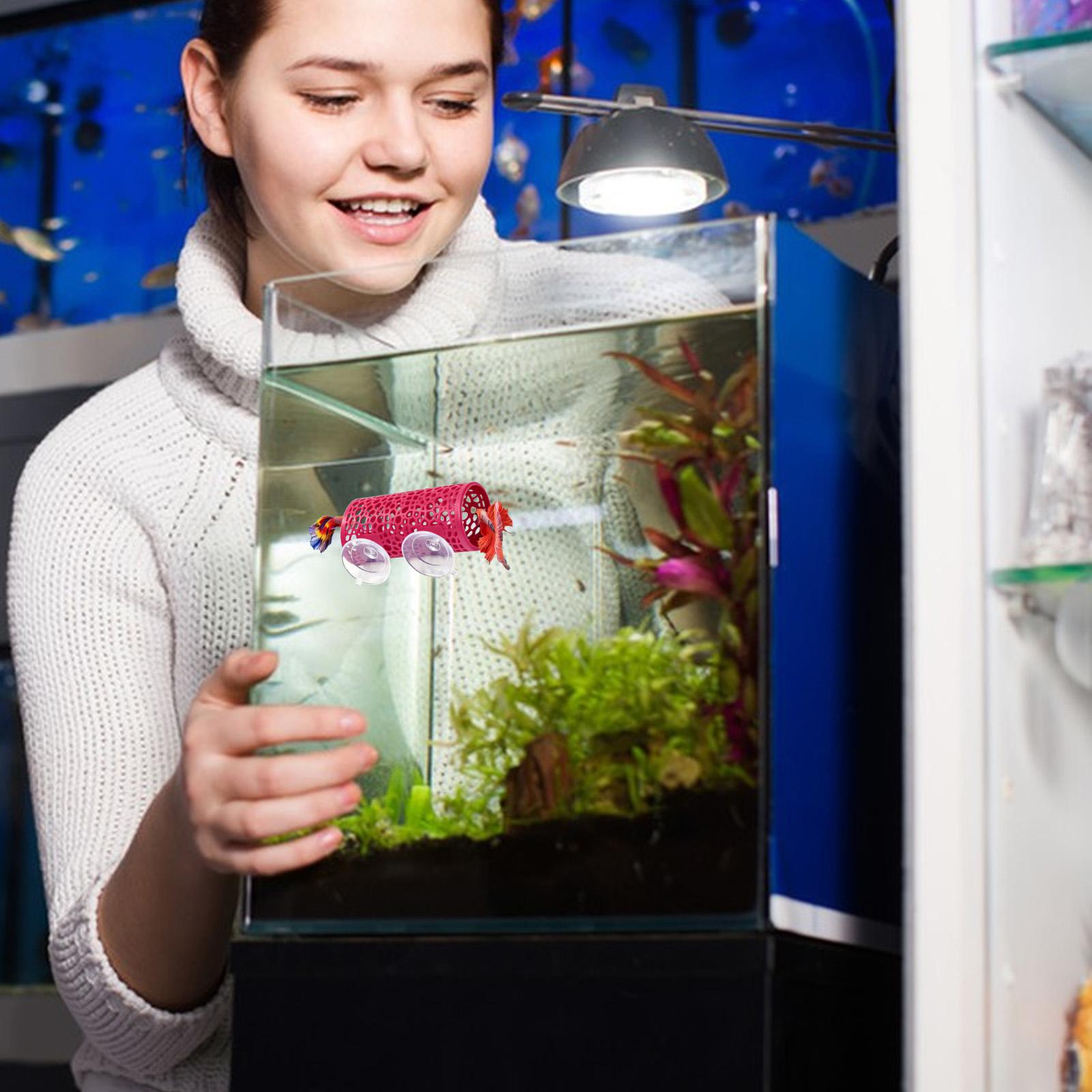 Betta Habitat Resting Shelter  - Aquarium Fish Cichlid ulasan dan harga