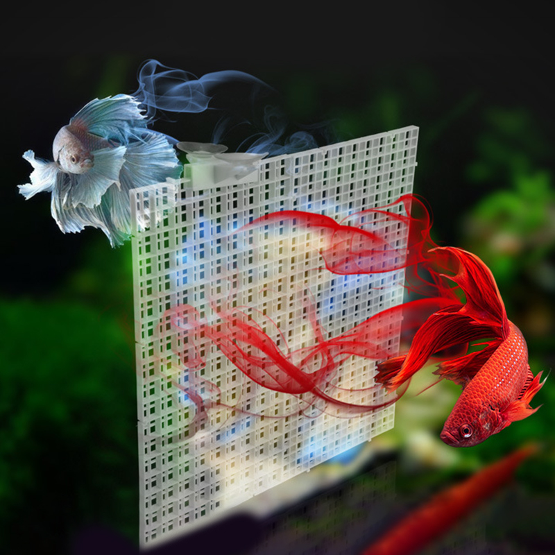 30x15cm 30x30cm Grid Divider P - Aquarium Fish Trap ulasan dan harga