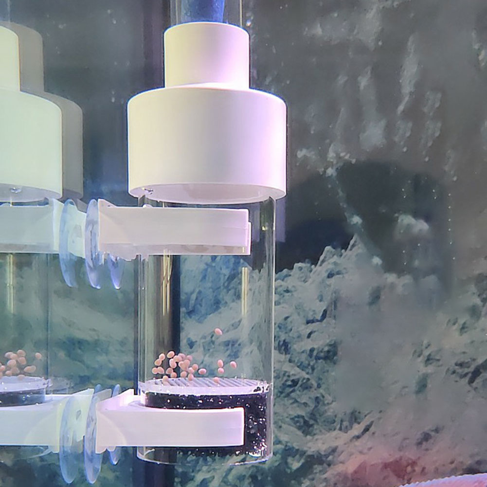 40mm Tumbler Incubator Fish Ha - Aquarium Fish Cichlid ulasan dan harga