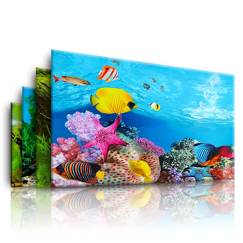 Background for Aquarium 3d  St - Aquarium Fish Cichlid ulasan dan harga