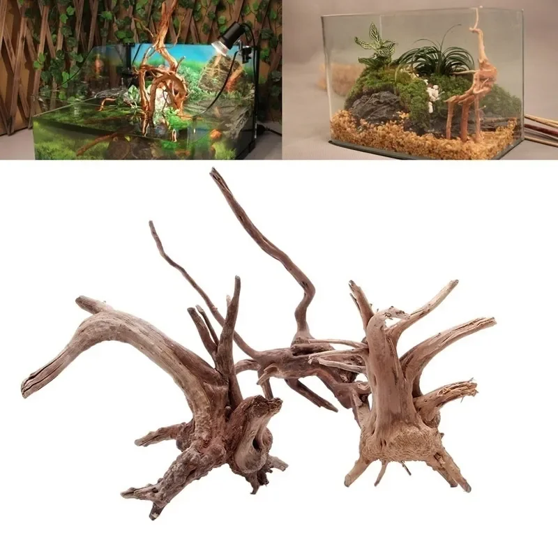 Natural Tree Trunk Driftwood A - Aquarium Fish Cichlid ulasan dan harga