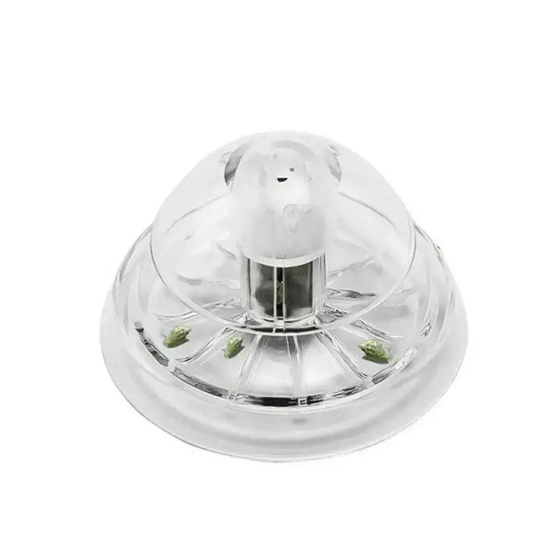 2026 New 6/8CM Clear Plastic S - Aquarium Fish Trap ulasan dan harga