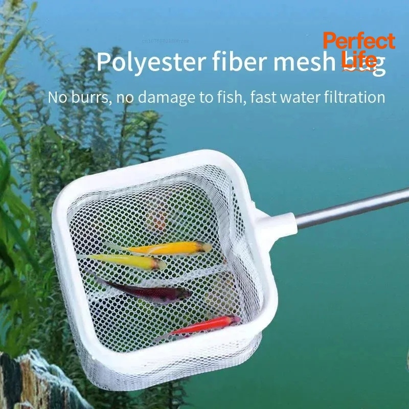 1、2Pcs Stainless Steel Fishing - Aquarium Fish Trap ulasan dan harga