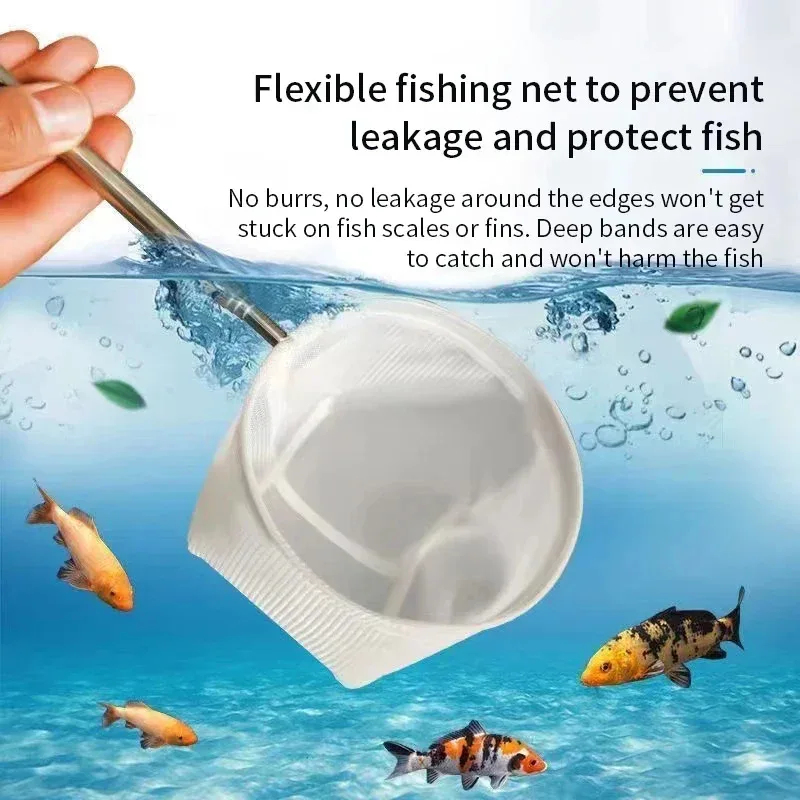 1、2Pcs Stainless Steel Fishing - Aquarium Fish Trap ulasan dan harga