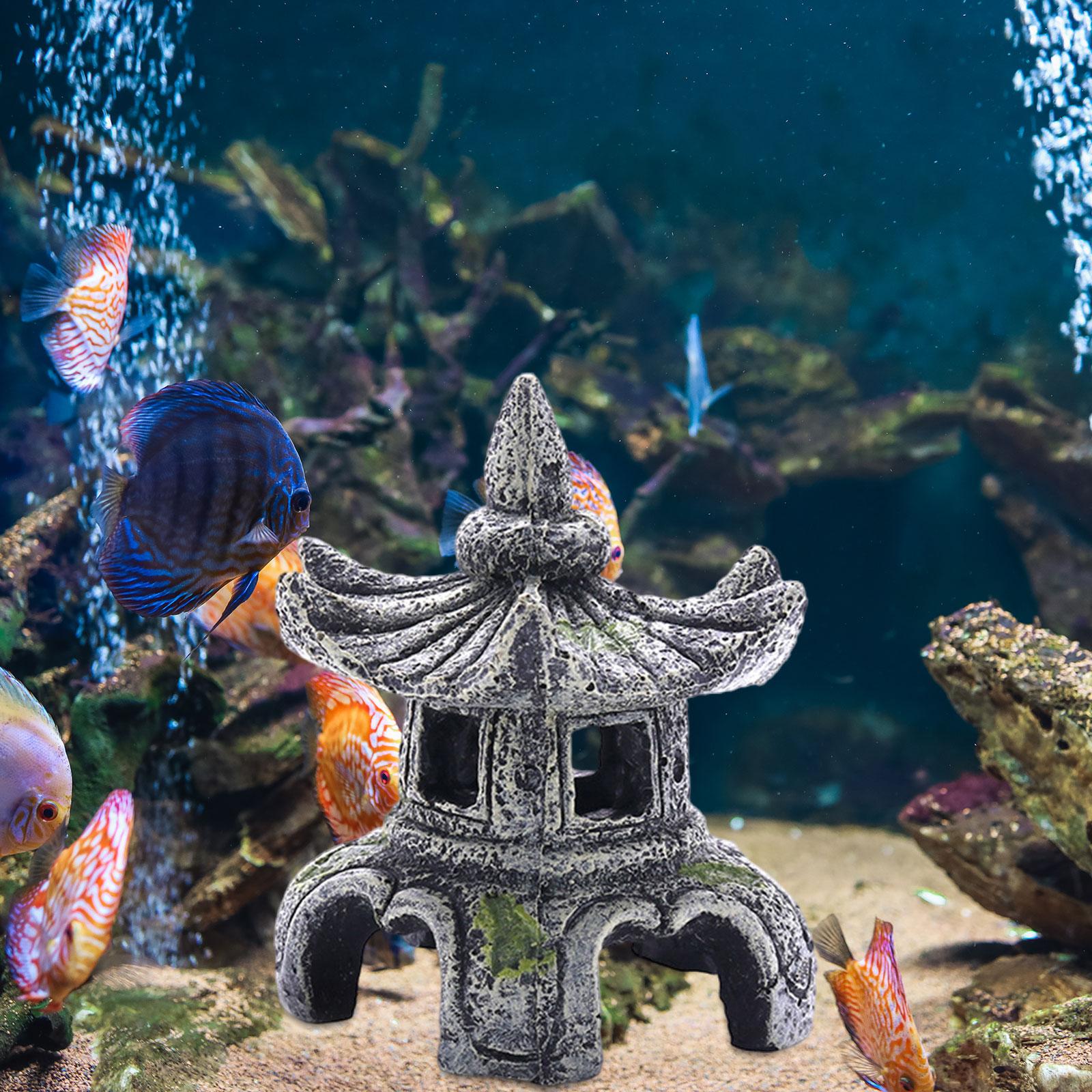 Aquarium Ornament Aquarium Acc - Aquarium Fish Cichlid ulasan dan harga