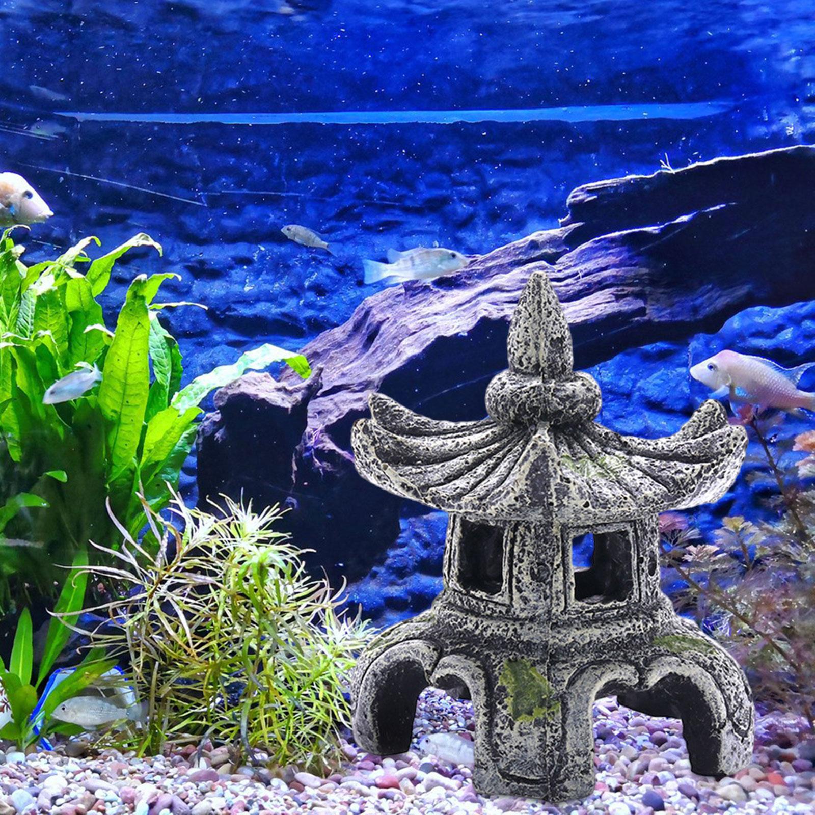 Aquarium Ornament Aquarium Acc - Aquarium Fish Cichlid ulasan dan harga