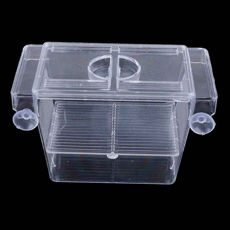 Aquarium Fish Tank Guppy Doubl - Aquarium Fish Trap ulasan dan harga