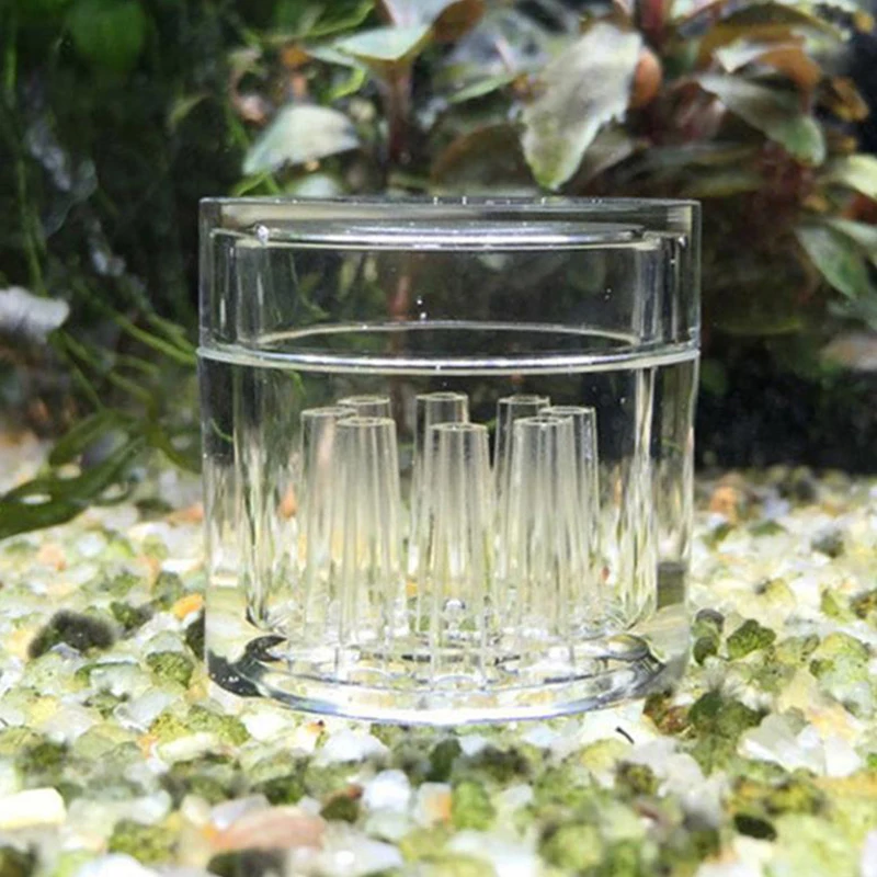 High Transparent  Aquarium Fis - Aquarium Fish Trap ulasan dan harga