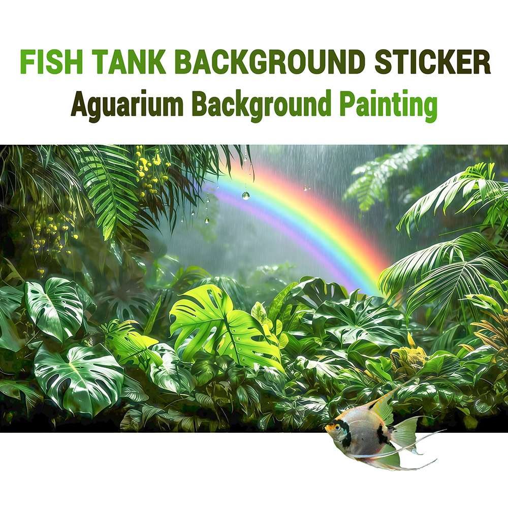 Rainforest Rainbow，Fish tank b - Aquarium Fish Rainbow ulasan dan harga