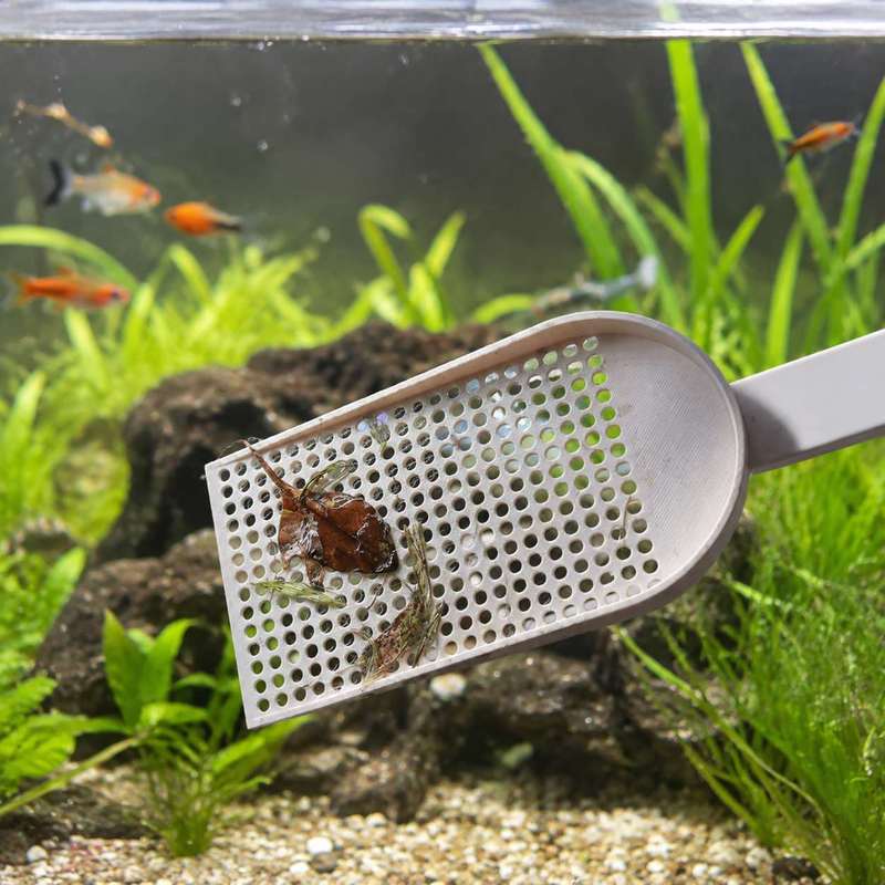 Aquarium Fish Tank Debris Scoo - Aquarium Fish Trap ulasan dan harga