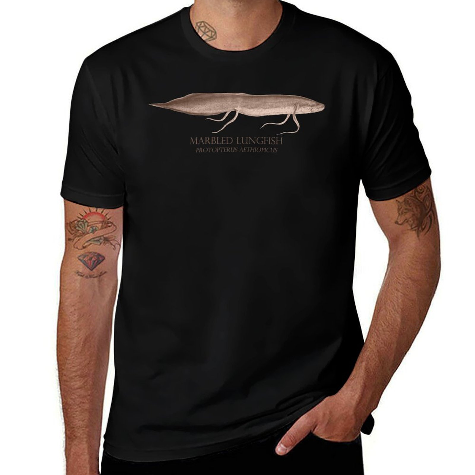 Lungfish Protopterus Aquarium  - Aquarium Fish Monster ulasan dan harga