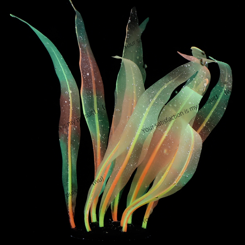 Simulated Kelp Plant Decoratio - Aquarium Fish Of The World ulasan dan harga