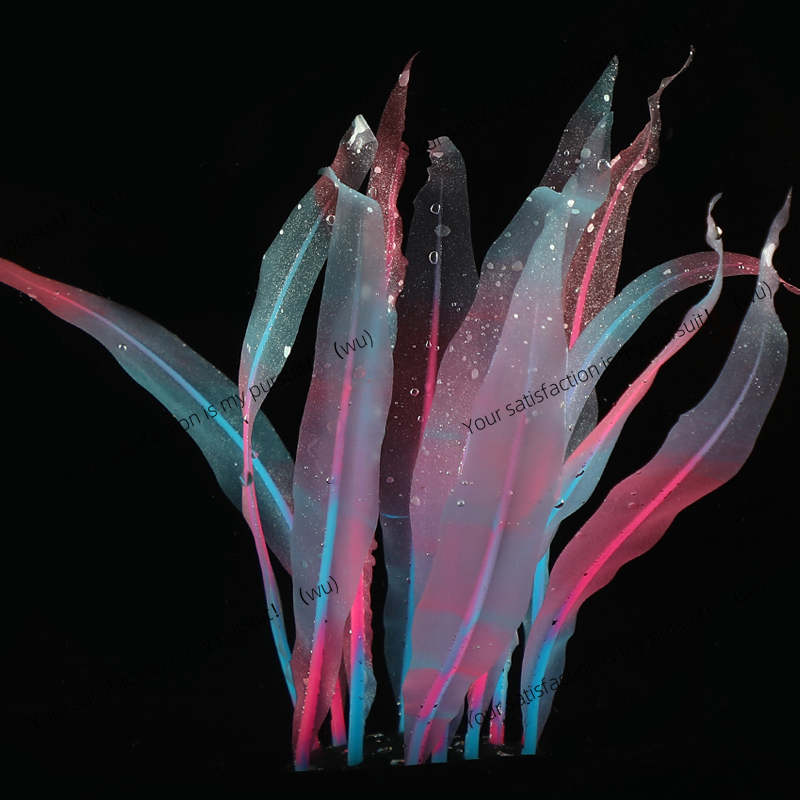 Simulated Kelp Plant Decoratio - Aquarium Fish Of The World ulasan dan harga