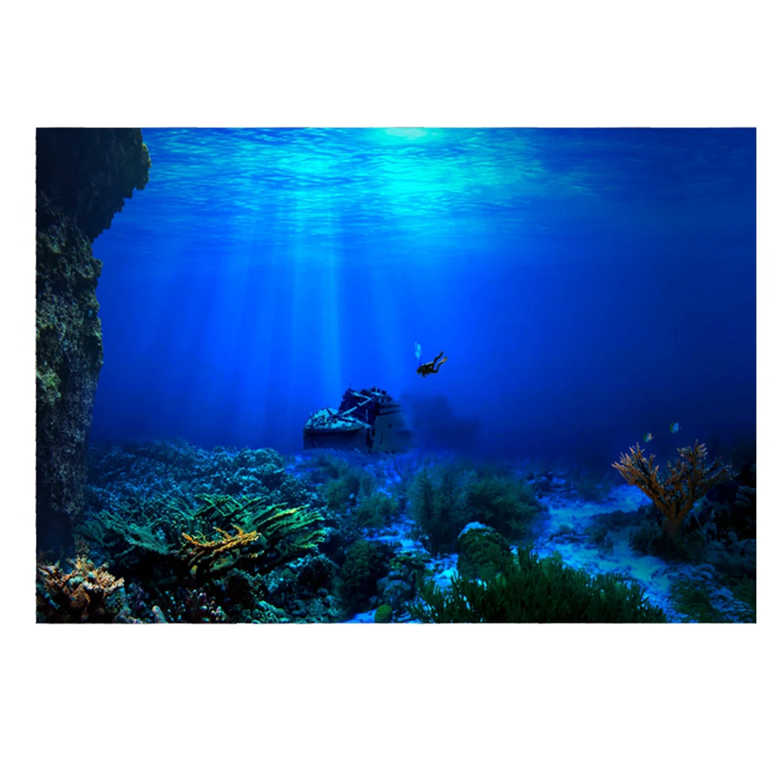 Rainforest Aquarium Background - Aquarium Fish Of The World ulasan dan harga