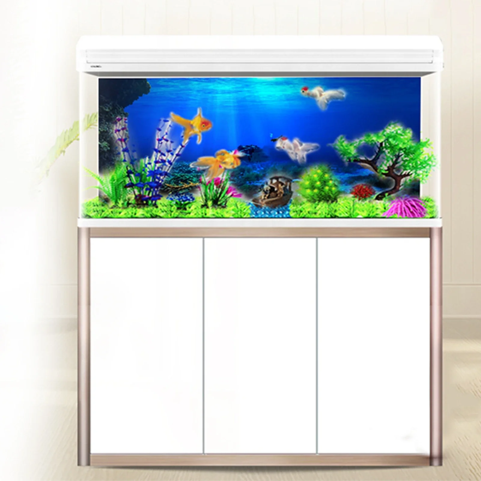 Rainforest Aquarium Background - Aquarium Fish Of The World ulasan dan harga