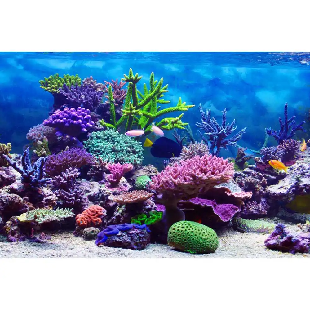 Underwater World Seabed Backdr - Aquarium Fish Of The World ulasan dan harga