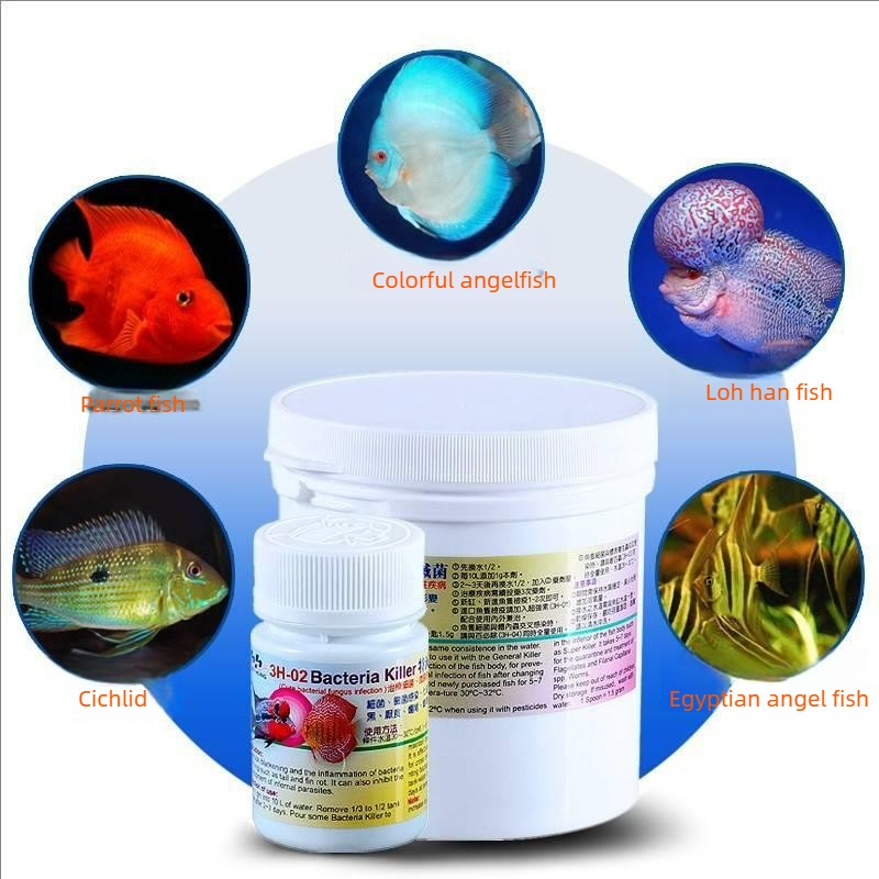 Aquarium Fish Treatment for In - Aquarium Fish Cichlid ulasan dan harga