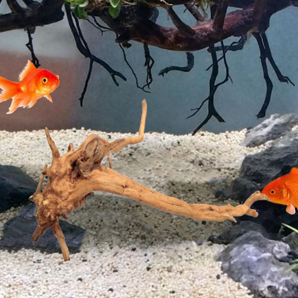 Natural Tree Trunk Aquarium De - Aquarium Fish Cichlid ulasan dan harga