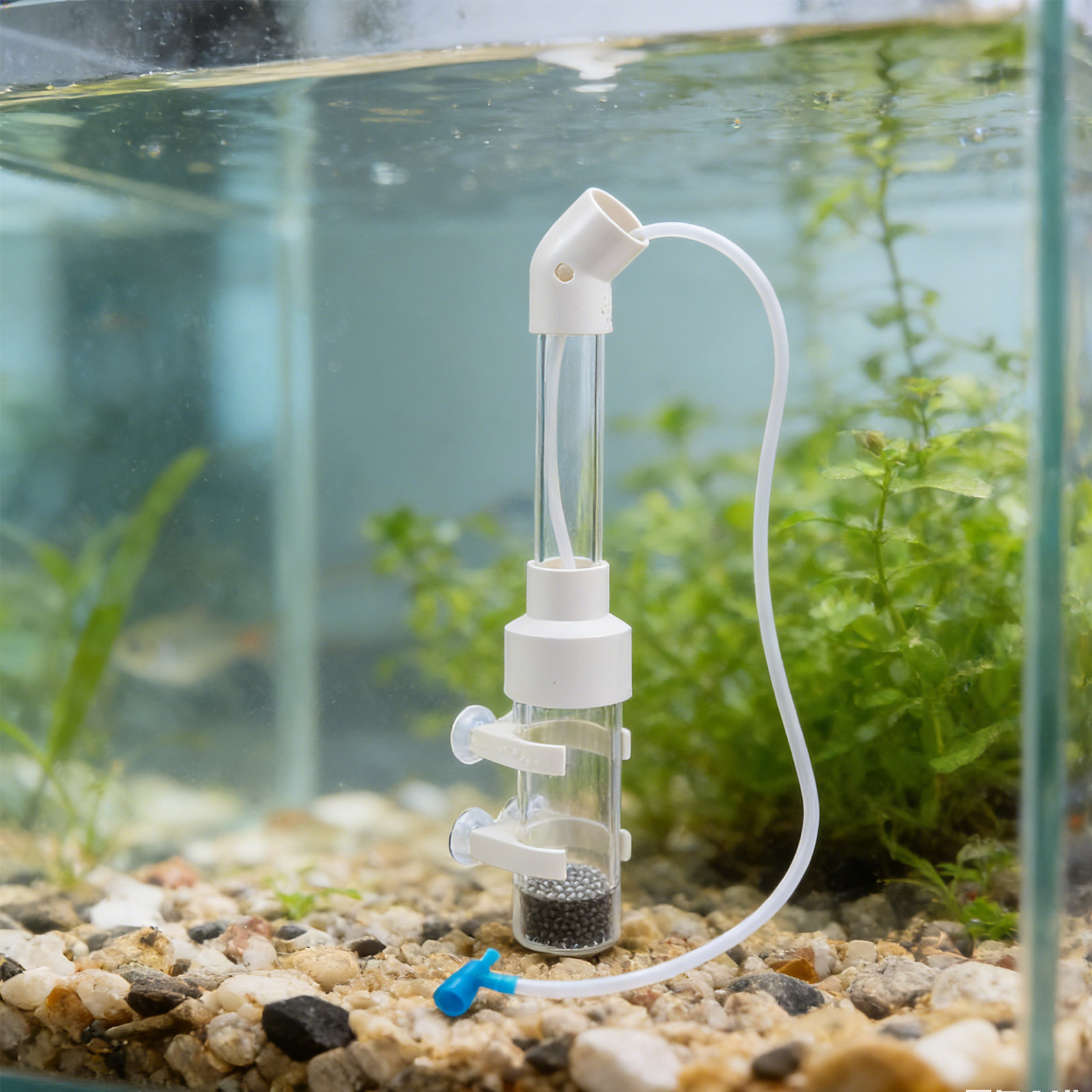 2Sets Fish Egg Incubator Kit 4 - Aquarium Fish Cichlid ulasan dan harga