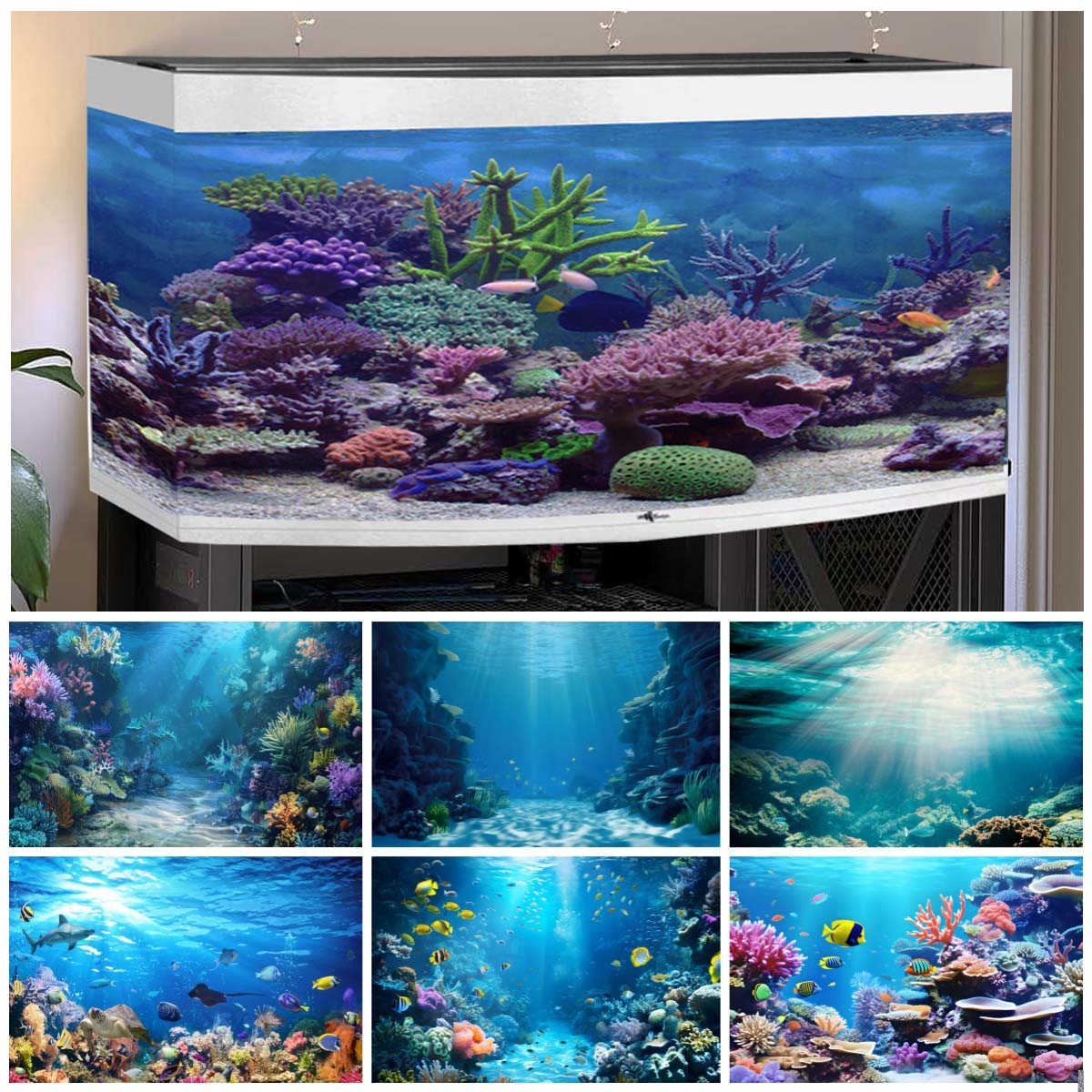 Underwater World Backgrounds f - Aquarium Fish Of The World ulasan dan harga