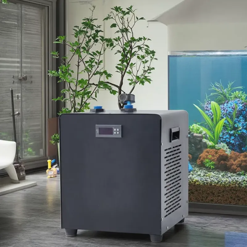 1/2HP 1HP Ice Bath Aquarium Co - Aquarium Fish Cold Water ulasan dan harga