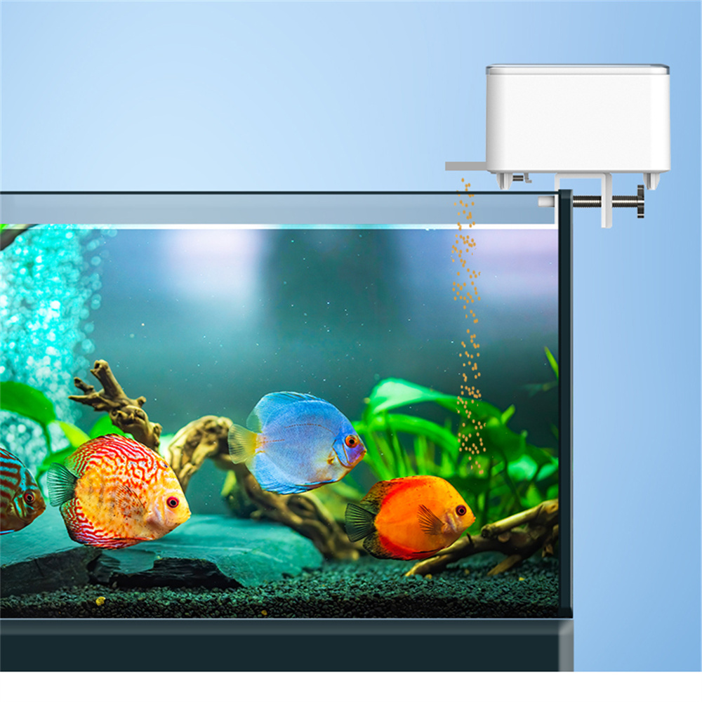 WiFi Smart Automatic Feeder Aq - Aquarium Fish Feeder Automatic ulasan dan harga