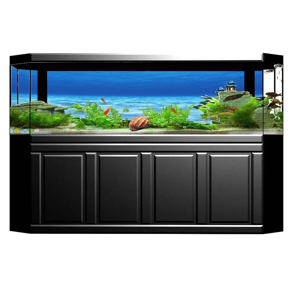 Side Decorative Aquarium Backg - Aquarium Fish Of The World ulasan dan harga