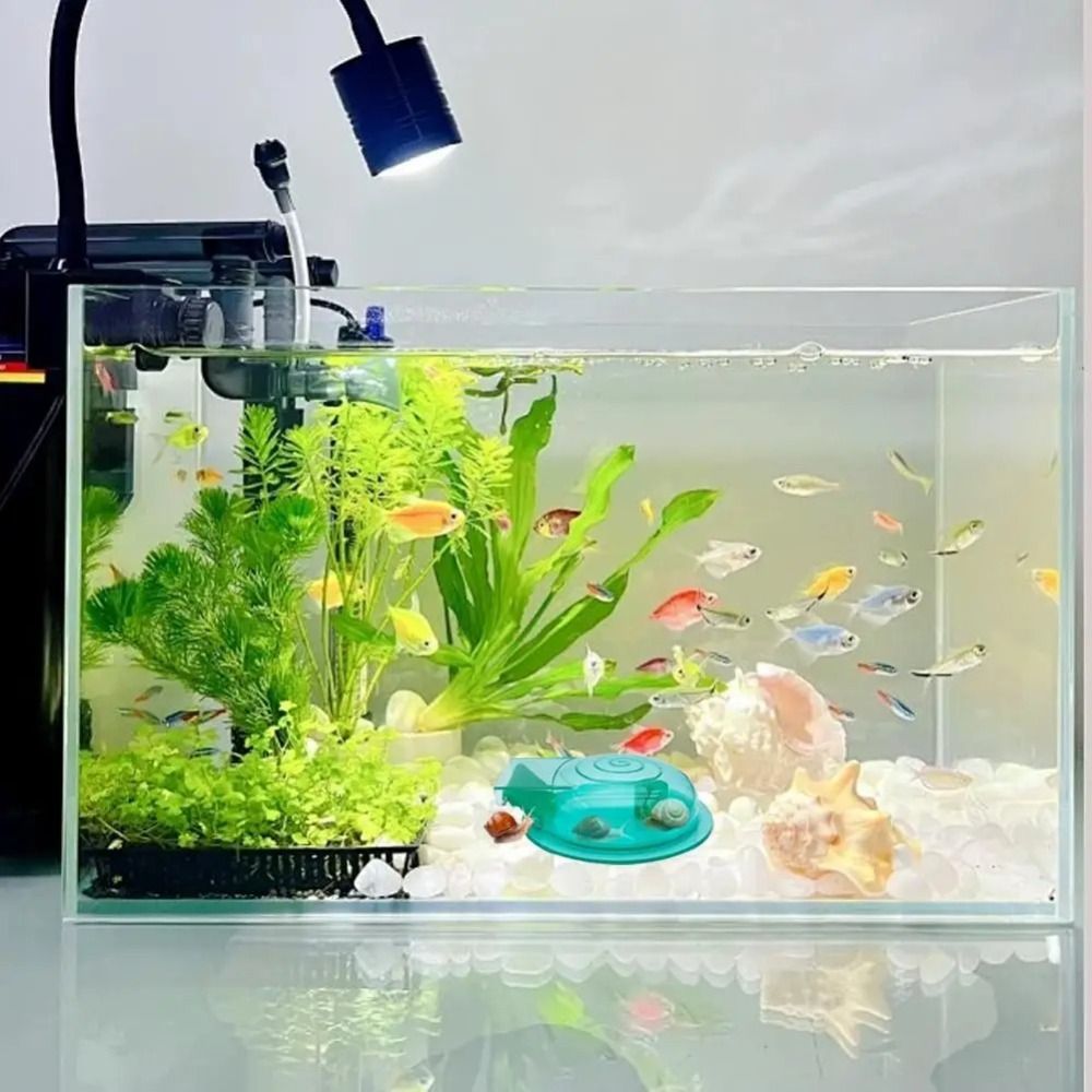 Freshwater Saltwater Aquarium  - Aquarium Fish Trap ulasan dan harga