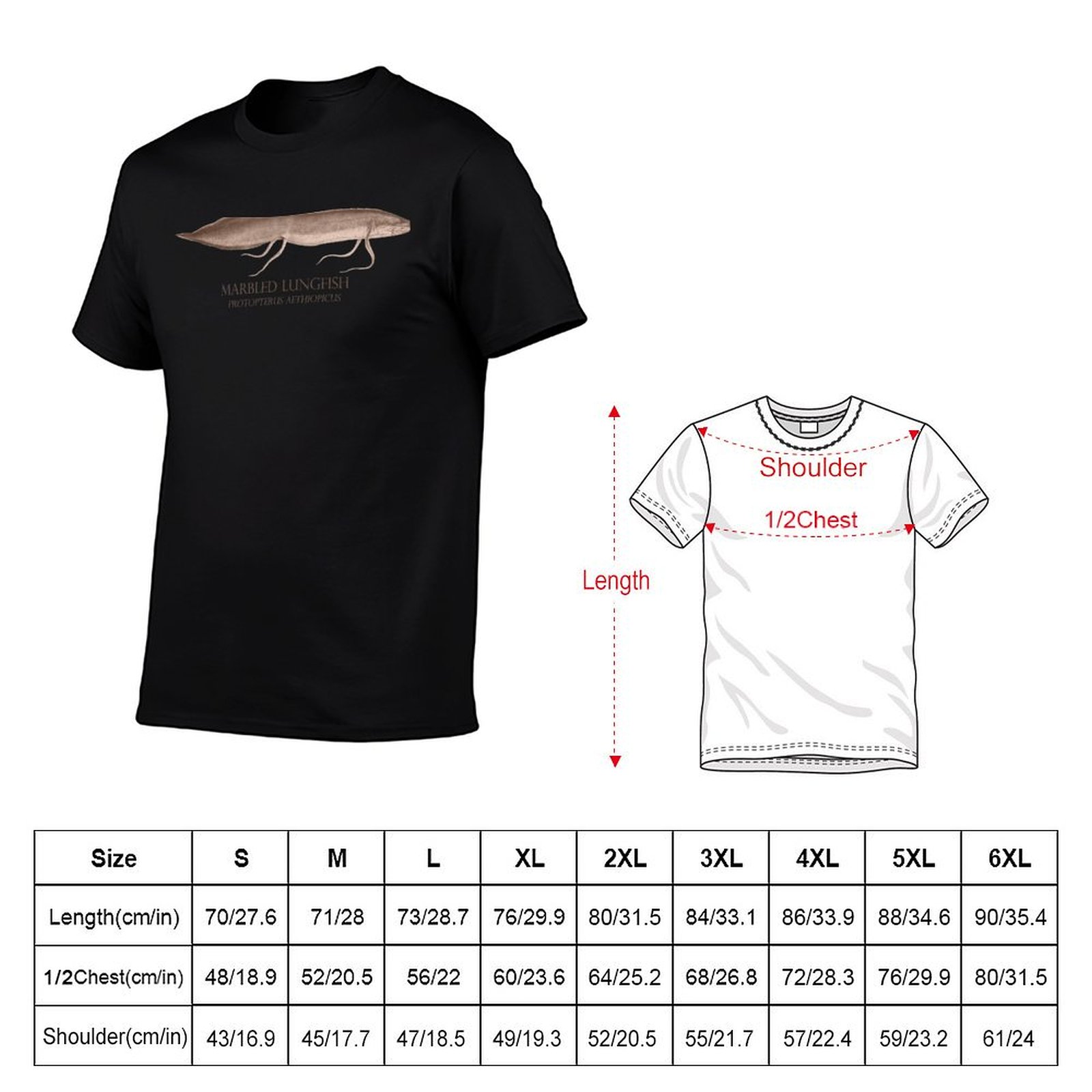 Lungfish Protopterus Aquarium  - Aquarium Fish Monster ulasan dan harga