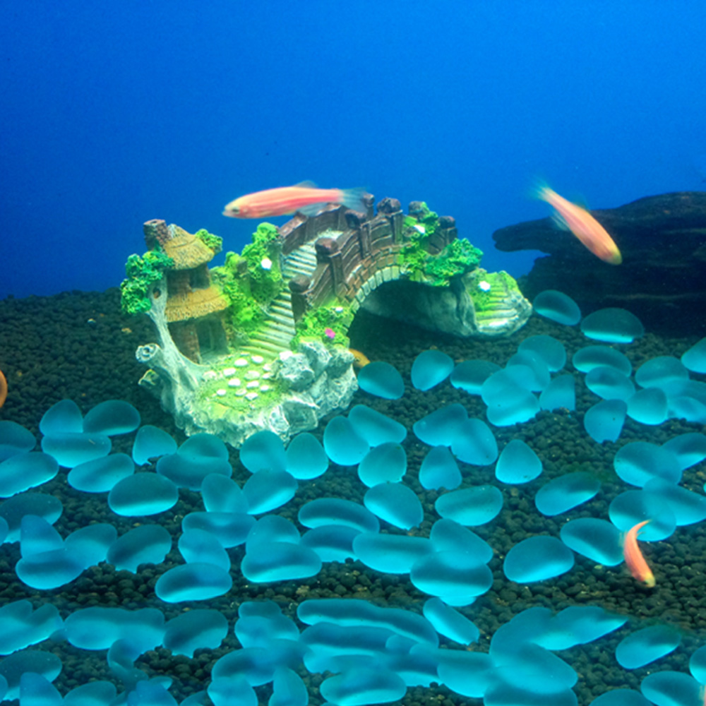Aquarium Accessories Arbor Tre - Aquarium Fish Cichlid ulasan dan harga