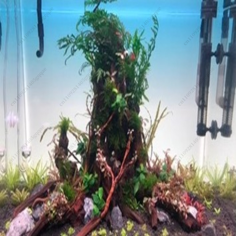 Fish Tank Background Board LED - Aquarium Fish Rainbow ulasan dan harga