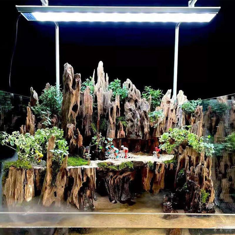 △ Shrimp Wood Aquarium Decor,  - Aquarium Fish Cichlid ulasan dan harga