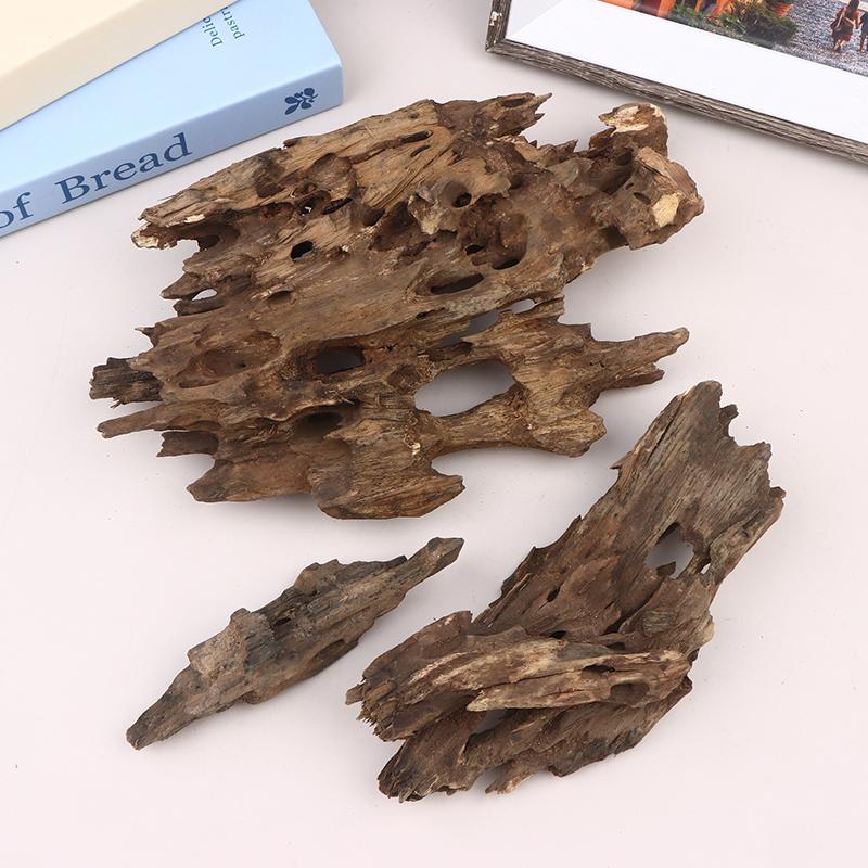 △ Shrimp Wood Aquarium Decor,  - Aquarium Fish Cichlid ulasan dan harga