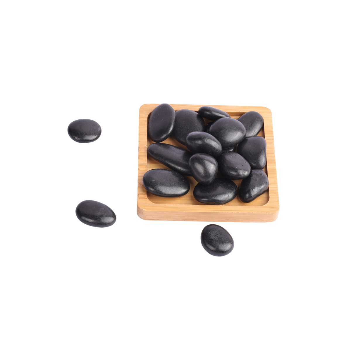High Quality Natural Rain Flow - Aquarium Fish Rainbow ulasan dan harga