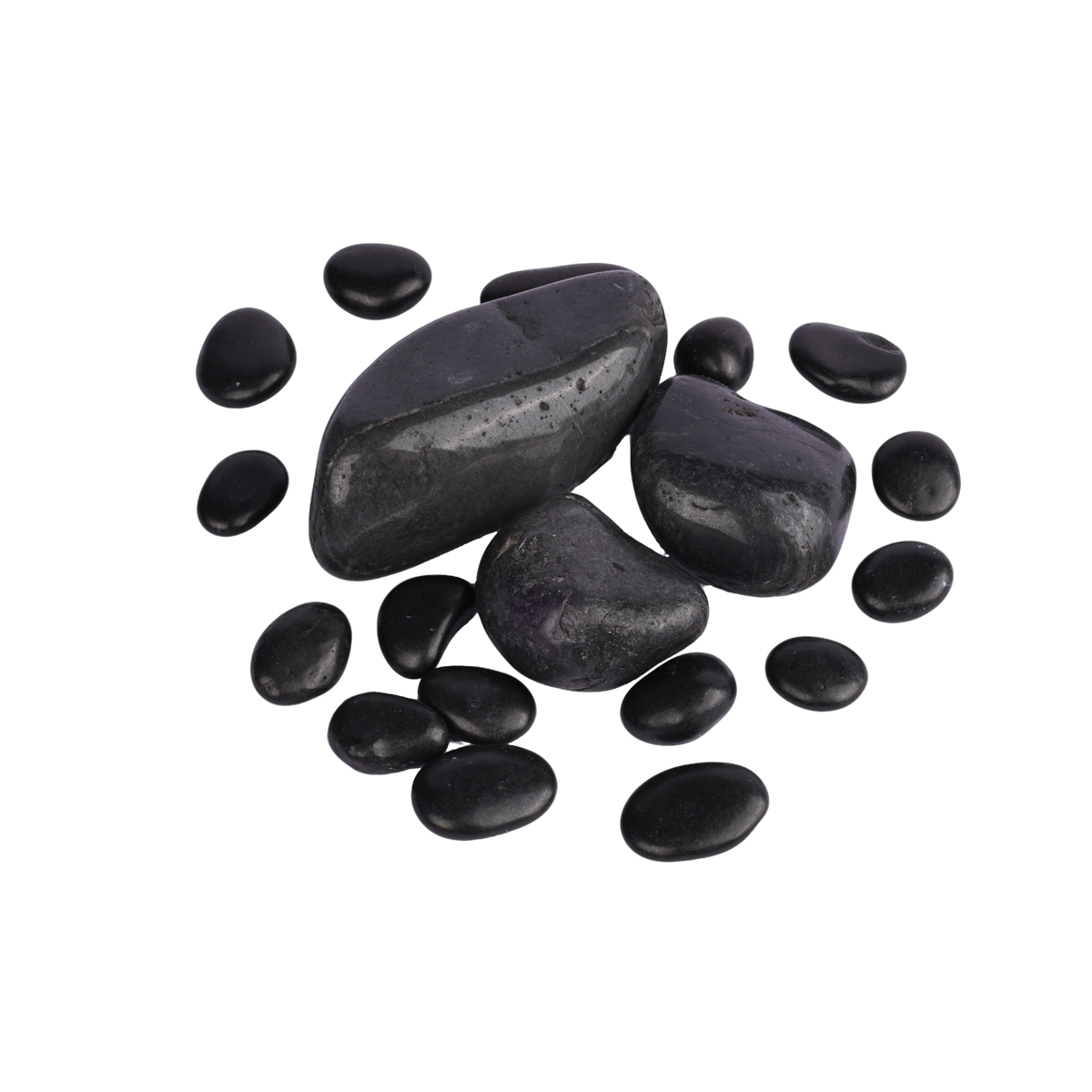 High Quality Natural Rain Flow - Aquarium Fish Rainbow ulasan dan harga