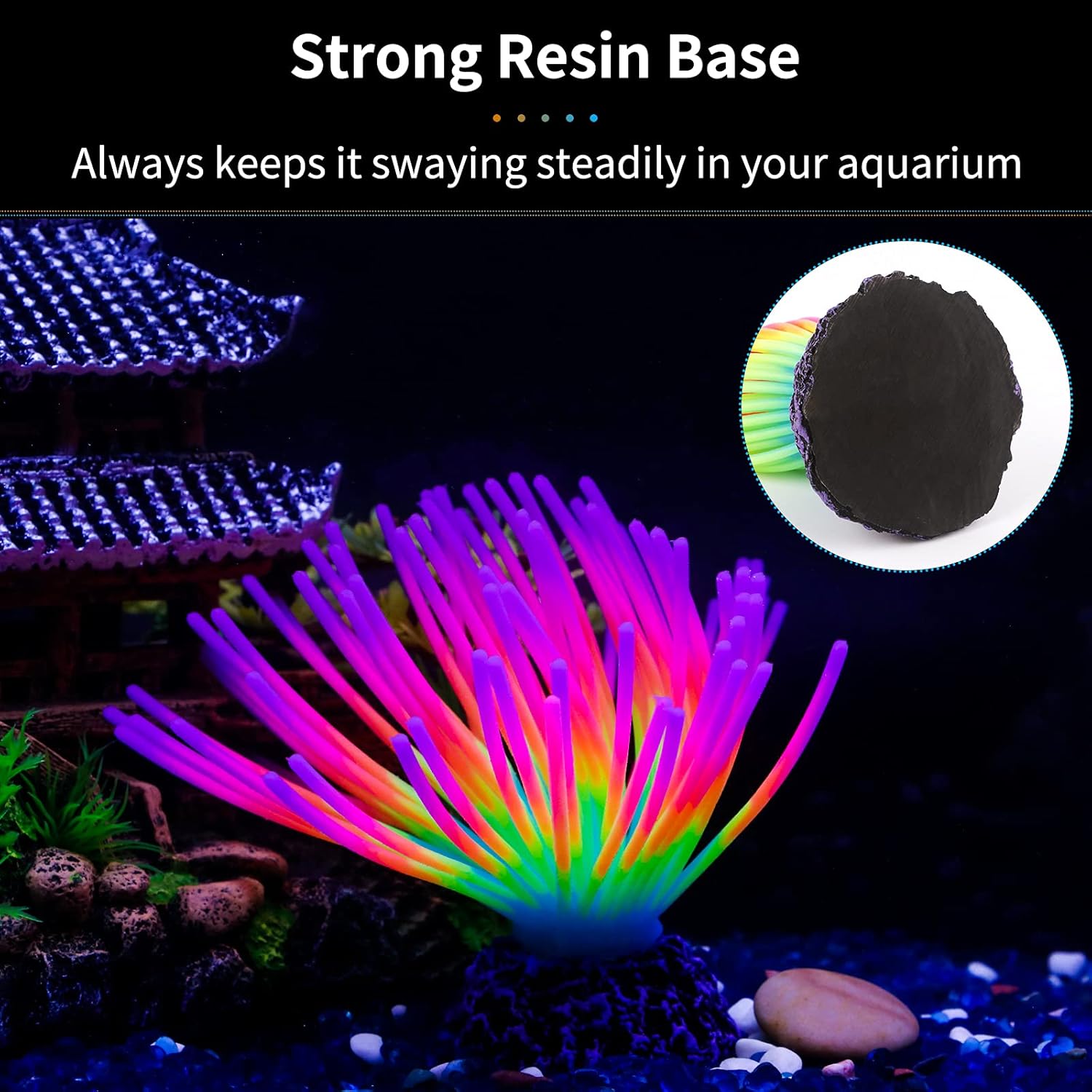 Aquarium Imitative Rainbow Sea - Aquarium Fish Rainbow ulasan dan harga
