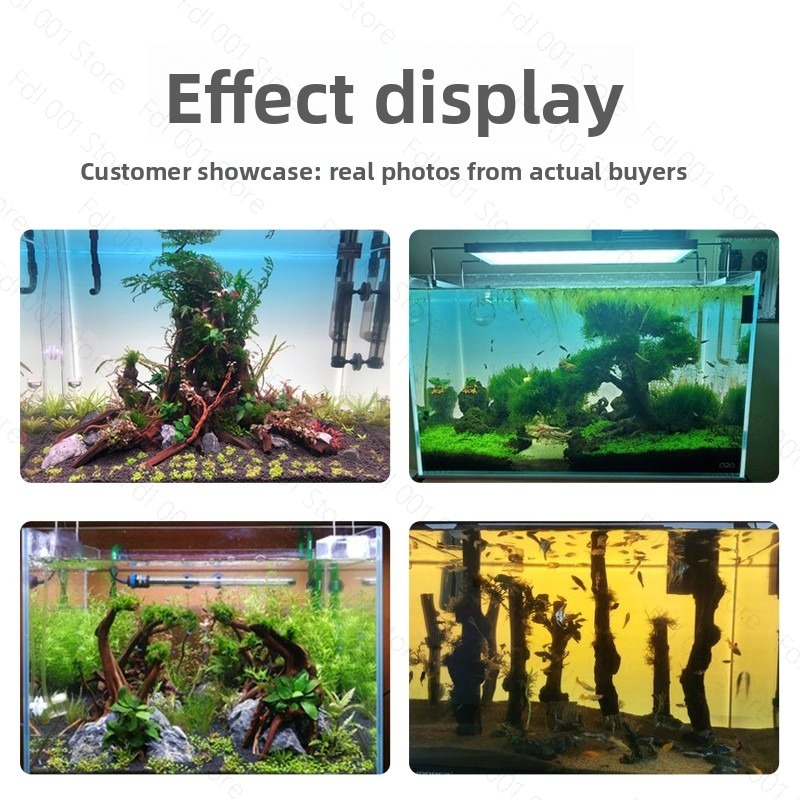 Fish Tank Background Board LED - Aquarium Fish Rainbow ulasan dan harga